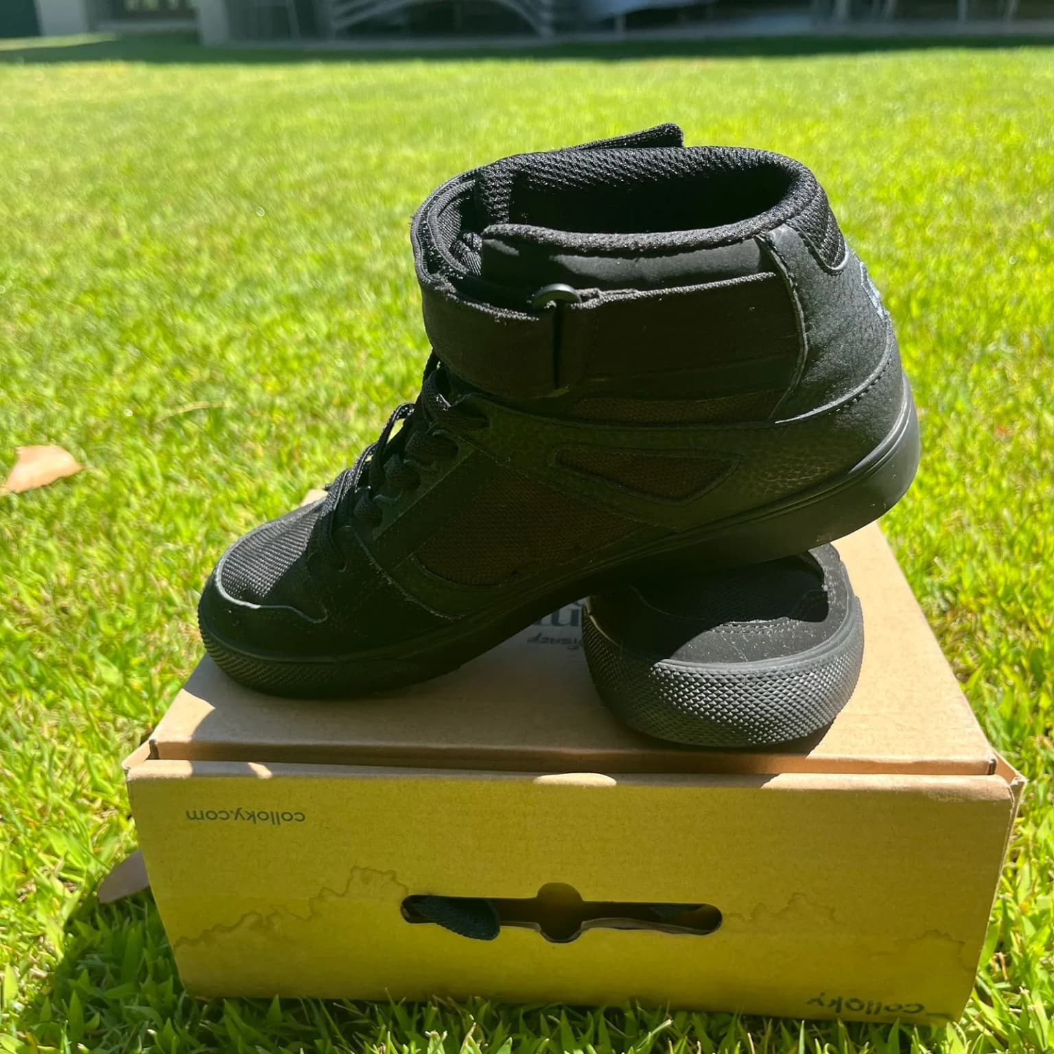 zapatillas DC Shoes Pure High-Top WNT Ev para niños.